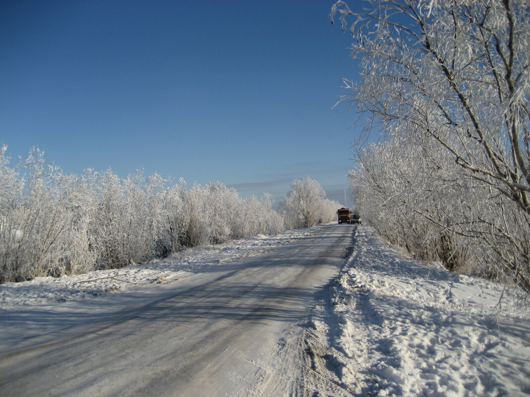Дорога к зимнику - Anna Ivanova