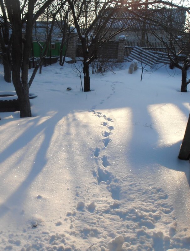 Следы на снегу - Наталья 