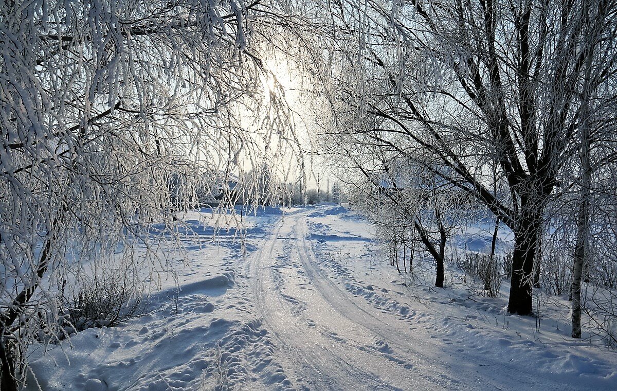 зима - Владимир Холодницкий