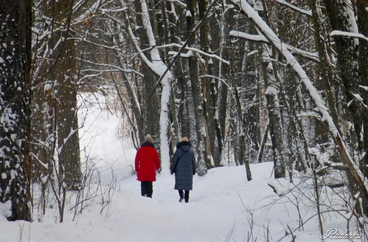 Прогулка в зимнем лесу - Raduzka (Надежда Веркина)