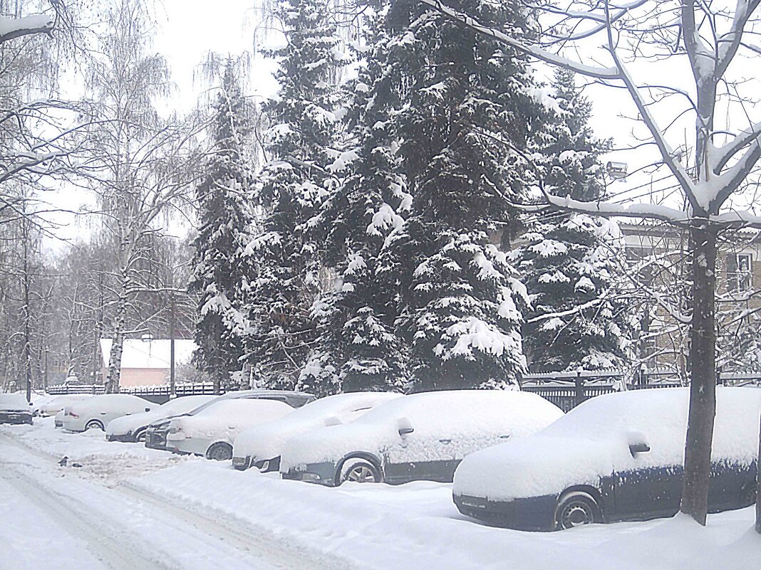 Зима в городе - Елена Семигина