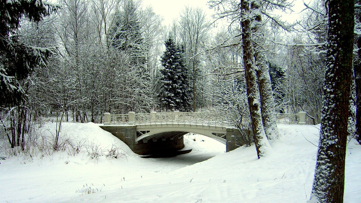 Мосты и мостики в Ал. парке ЦС - 2 - Сергей 