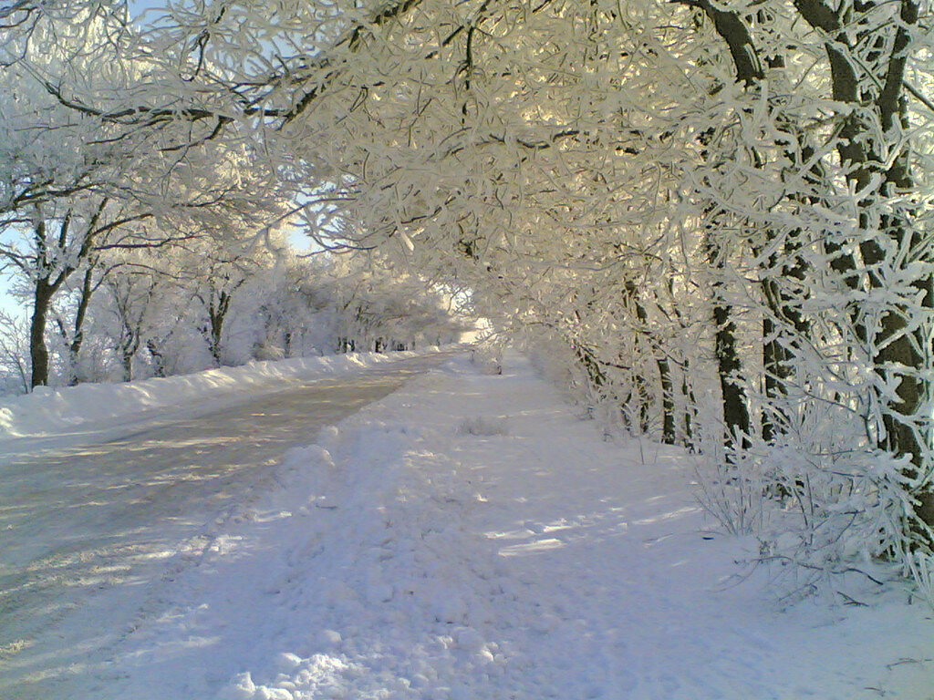 Зимняя дорога - Люша 