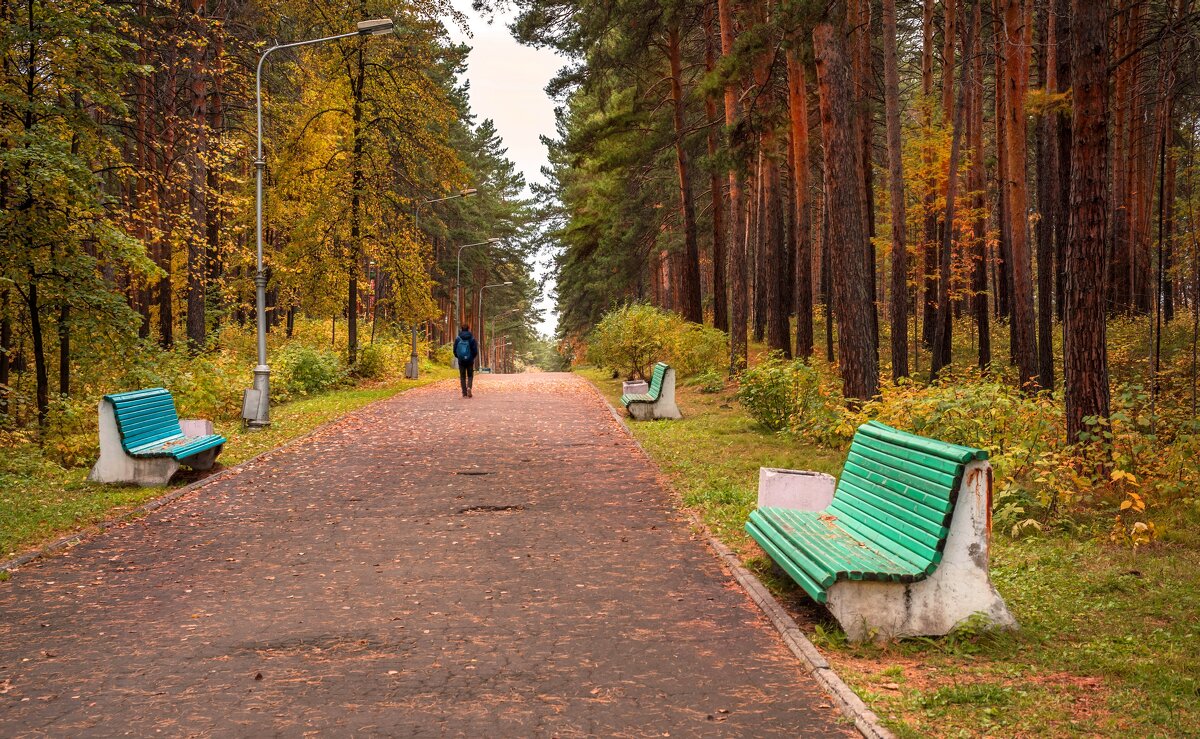 В осеннем парке - Анатолий Володин