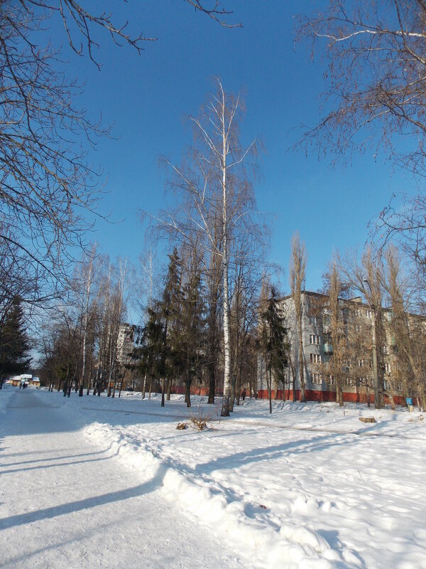 Снег выпал только в январе - MarinaKiseleva 