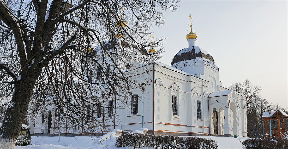 Благовещенский собор - Нина Синица