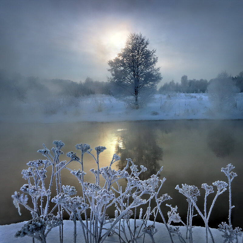 Закат морозного января.... - Андрей Войцехов