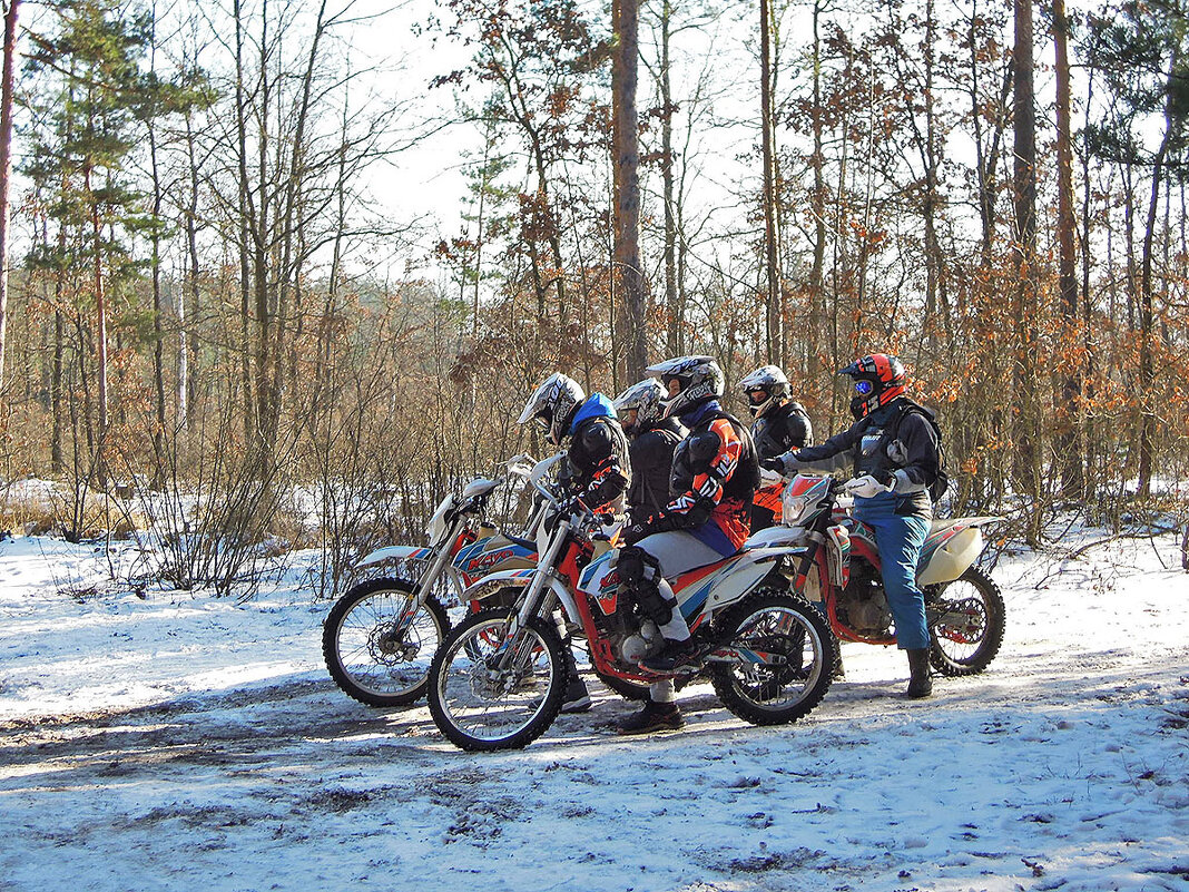 Спортсмены-мотоциклисты тоже тренируются в лесу ) - Тамара Бедай 