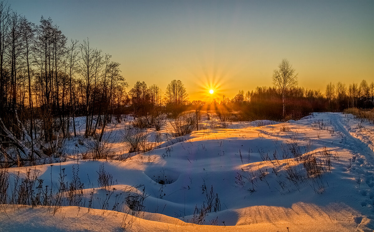 Мороз vs. Солнца # 9 - Андрей Дворников