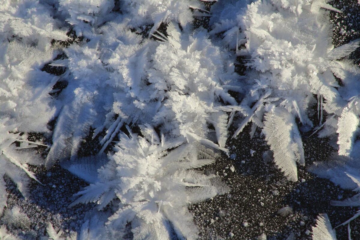 Снежинки на льду таежной реки - Нина северянка