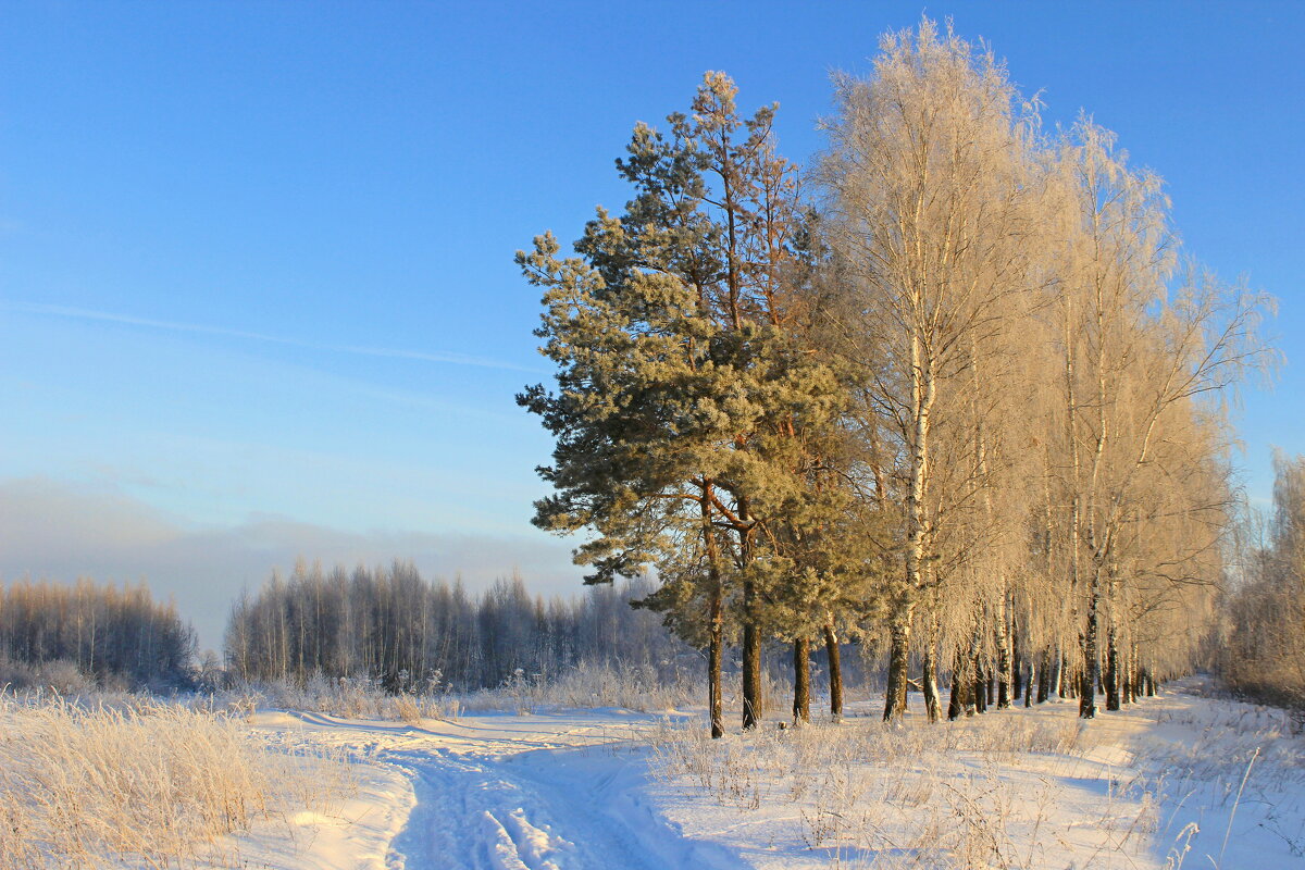 Зимний день - Сергей 