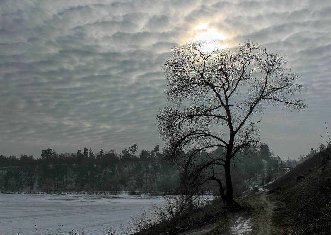 В плеске небесных волн. - Volodymyr Shapoval VIS t