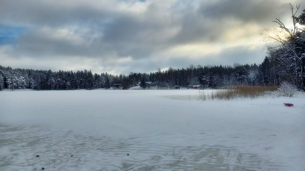 Январь в Швеции - wea *