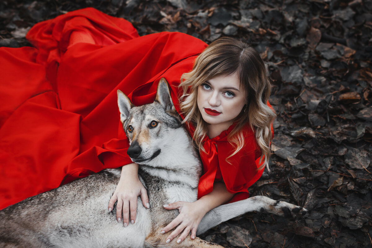 Красная шапочка и серый волк - Александра Печорина