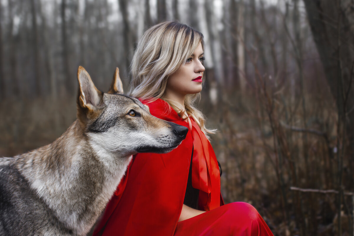 Красная шапочка и серый волк - Александра Печорина