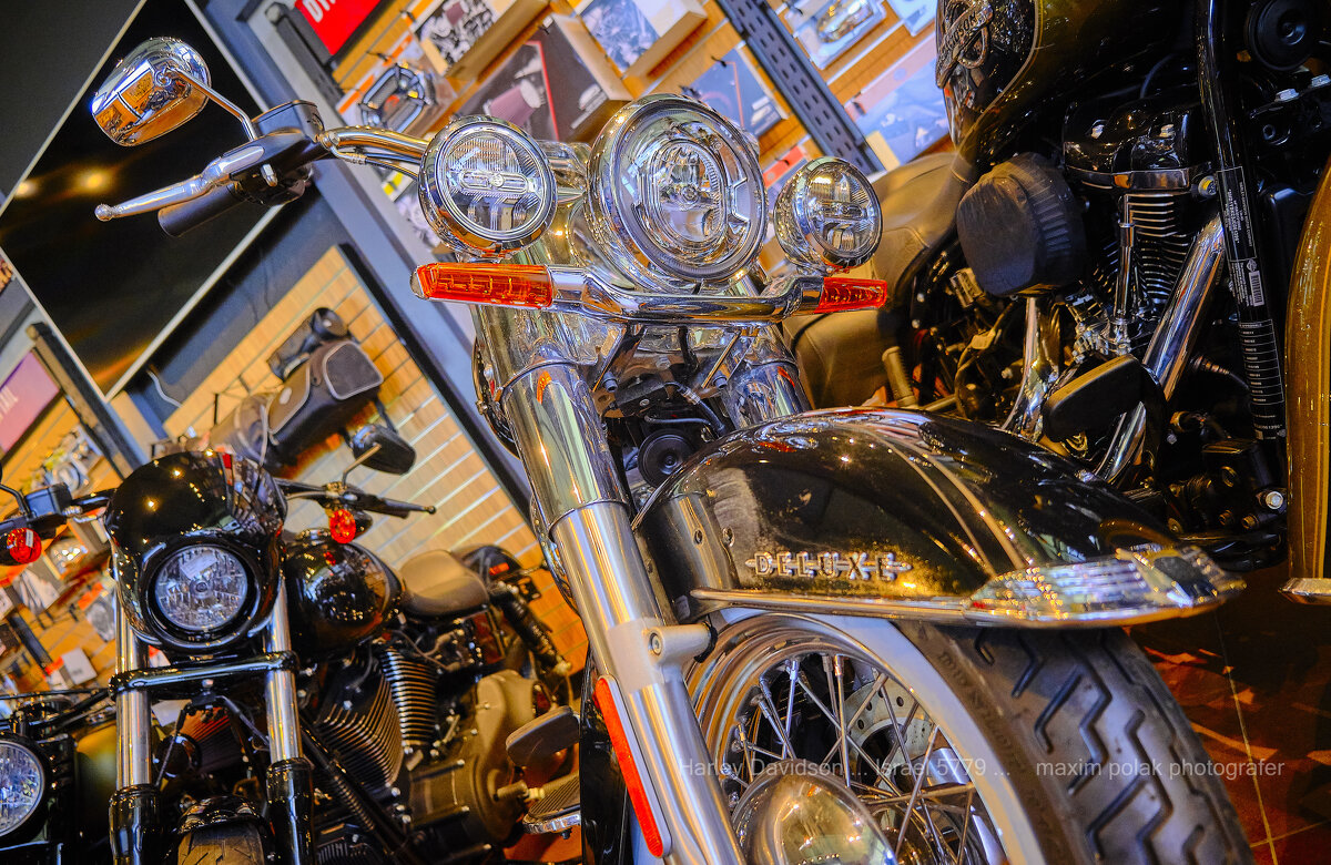 Harley Davidson - Maxim Polak