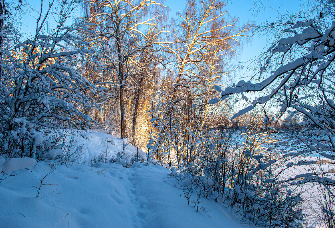 зима - Андрей Шуляк