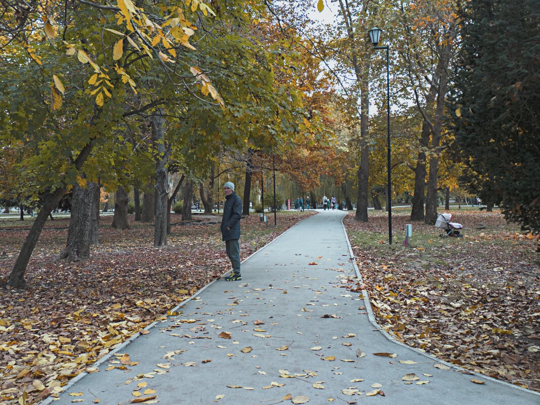 Осень в  Гагаринском парке - Валентин Семчишин