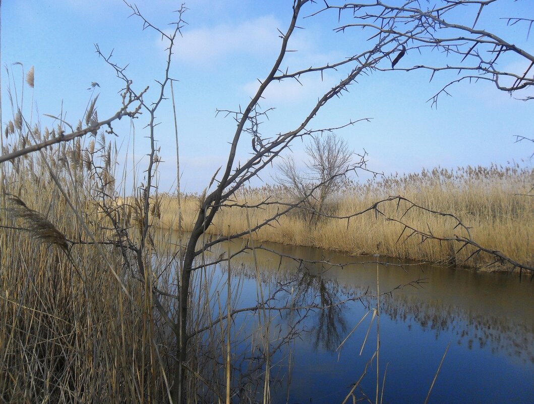 Над водой... - Сергей Анатольевич