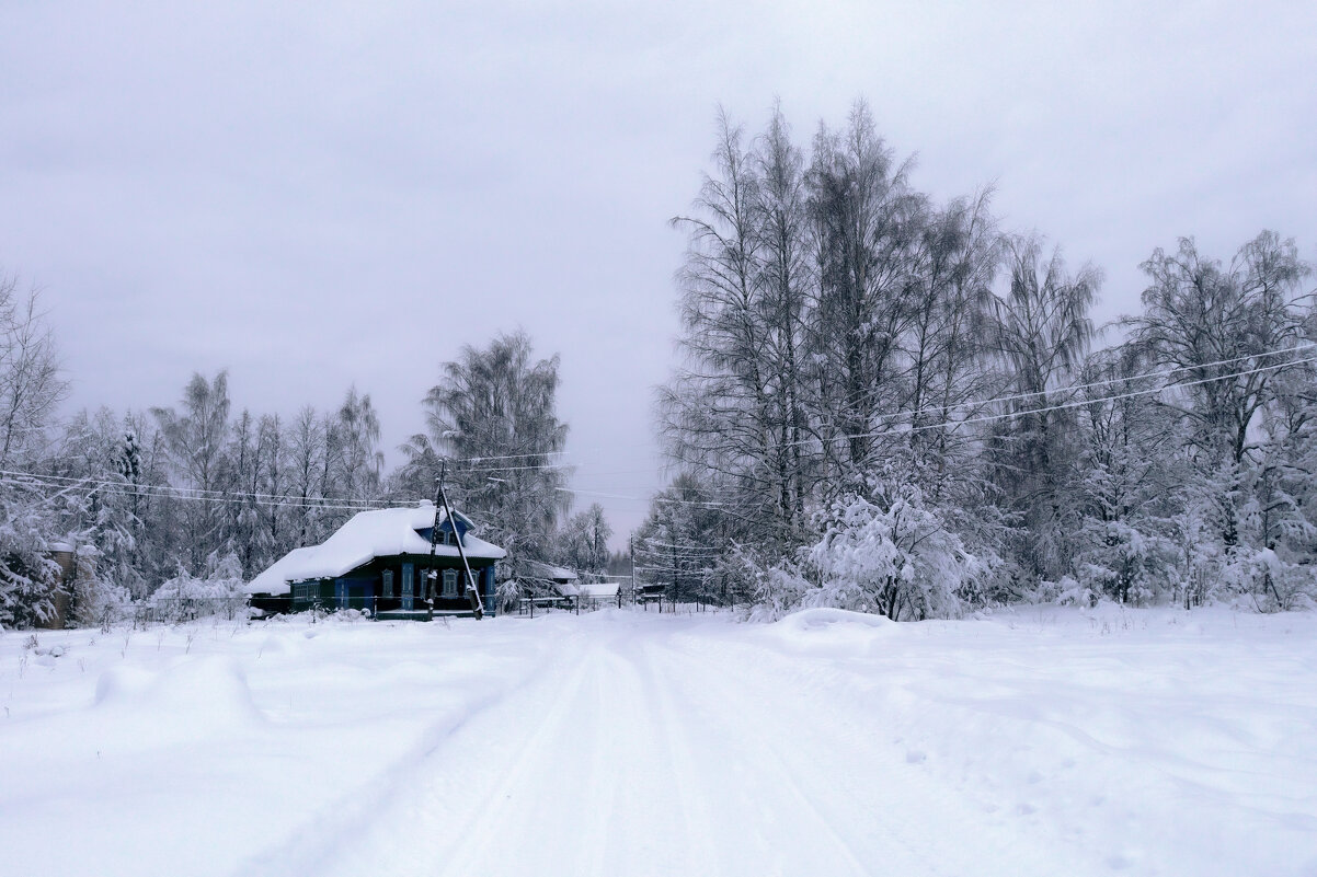 Зима в деревне 2 - Людмила Гулина