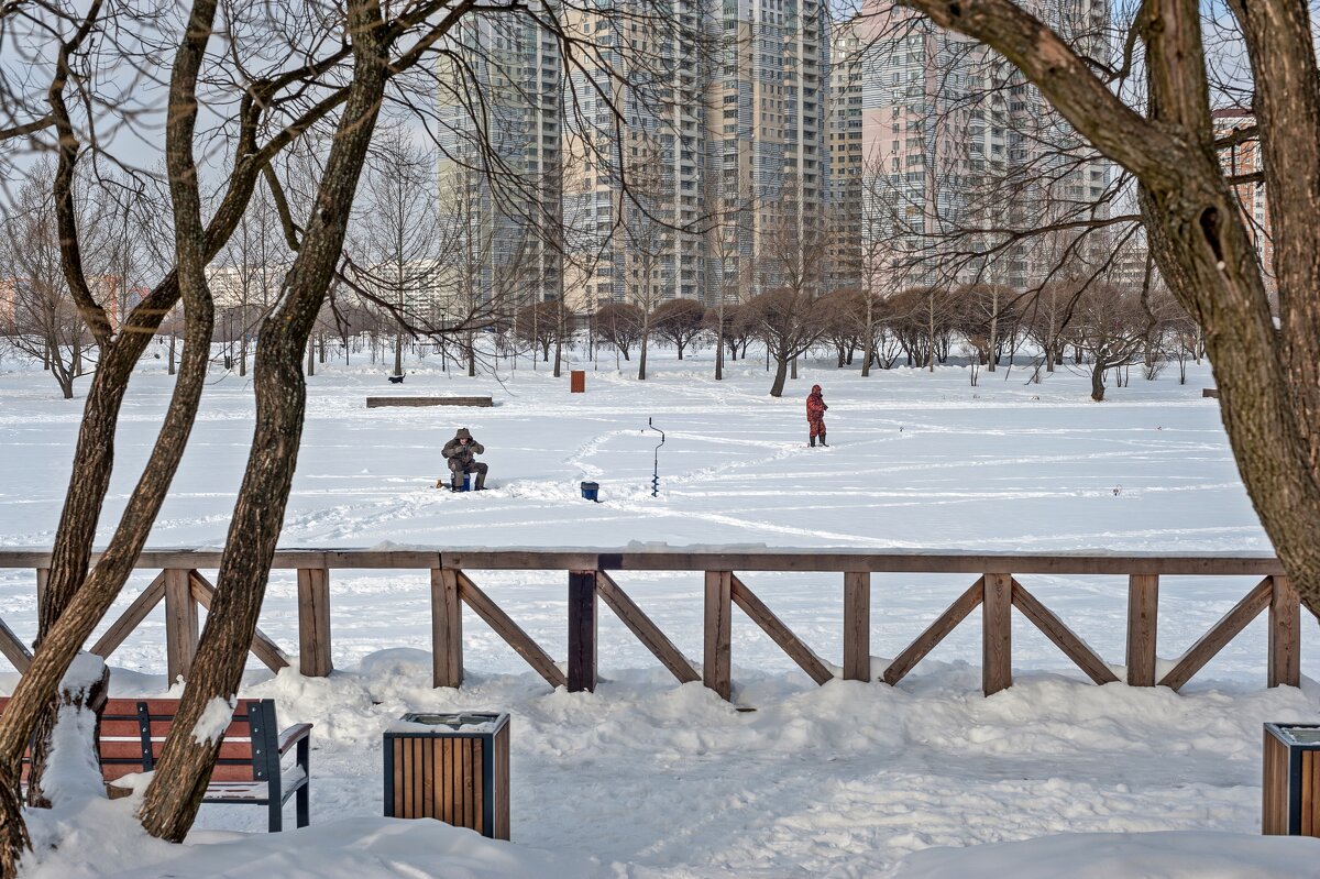 Из серии "Субботний день в парке на пруду" - Валерий Иванович