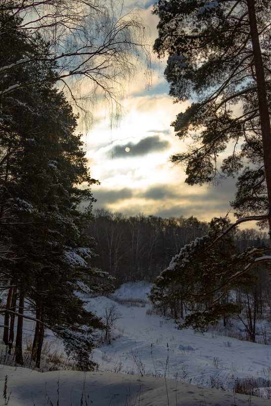 зима - Олег Алексеев