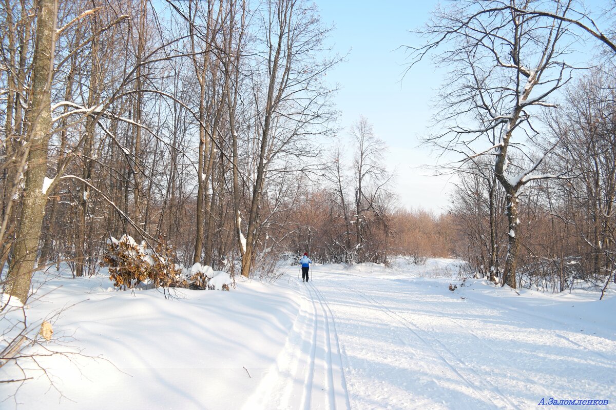 В морозный ясный день гулять совсем не лень! :-) - Андрей Заломленков