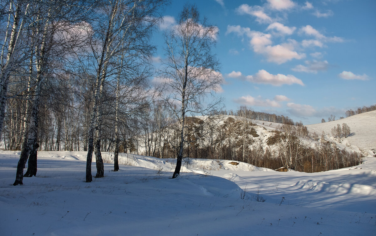 Зимний пейзаж - Алексей Мезенцев