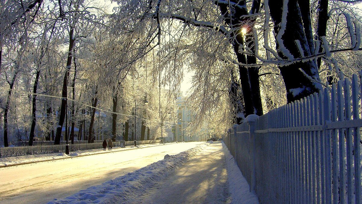 Хороший зимний день в Ал. парке ЦС - 1 - Сергей 