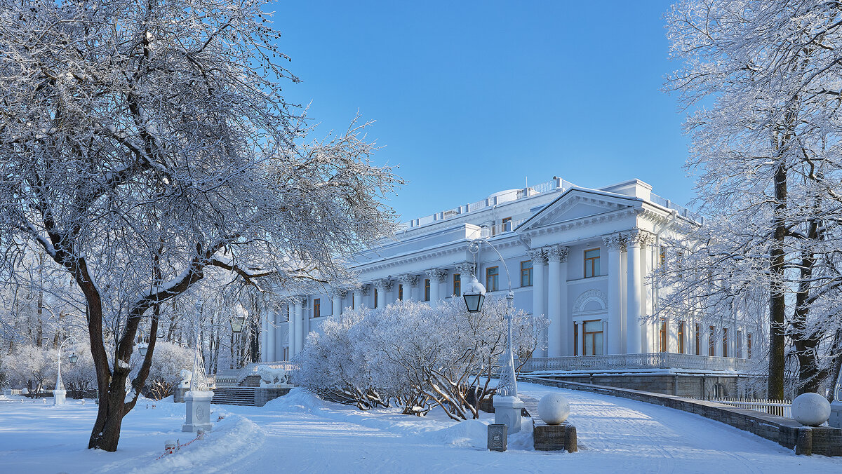 Елагиноостровский дворец в Санкт-Петербурге - юрий затонов