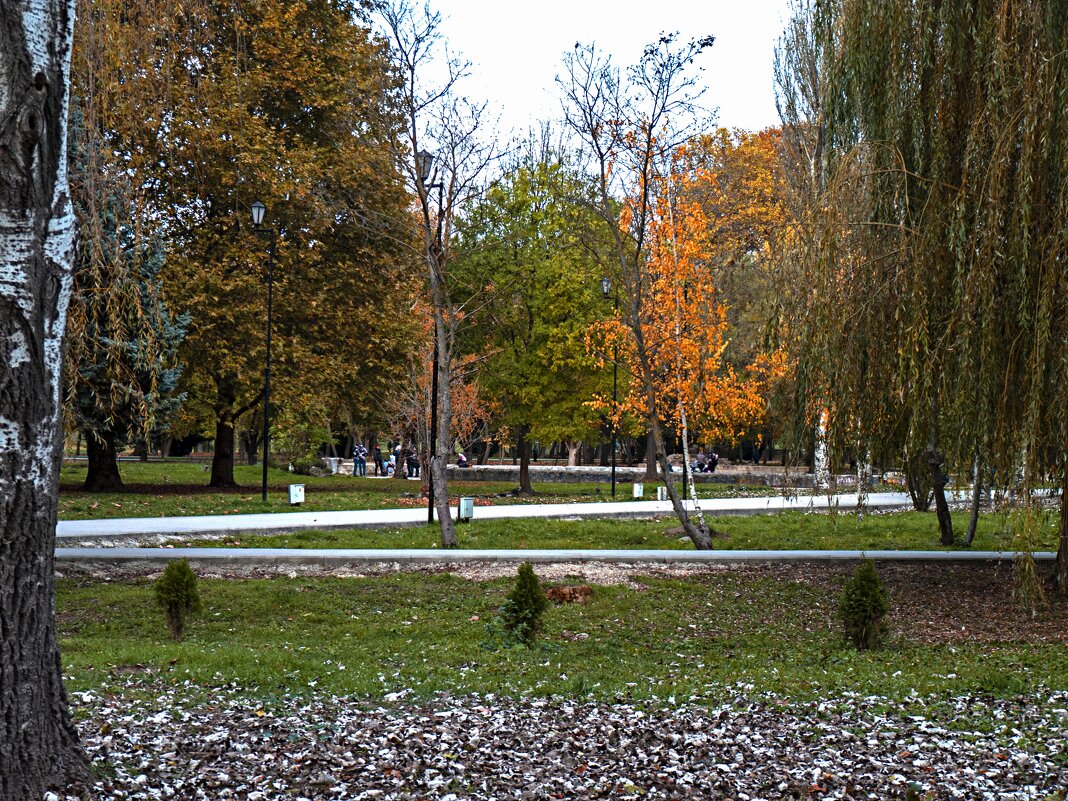 Осень в Гагаринском  парке - Валентин Семчишин