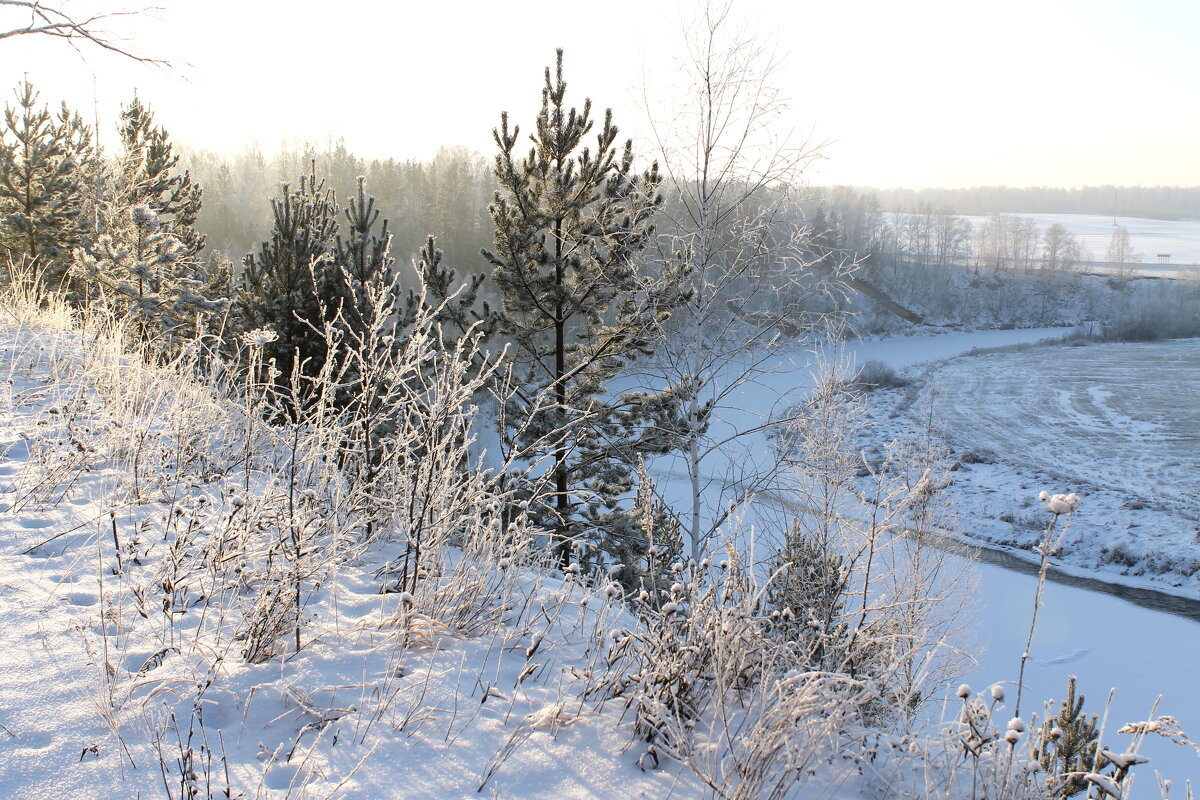 Солнечный зимний день - tamara kremleva