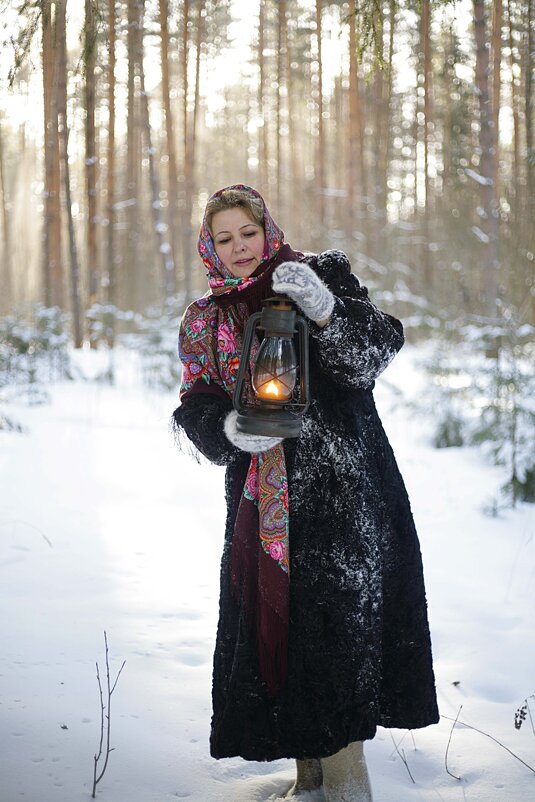 Сказки зимнего леса - Ольга Касьянова