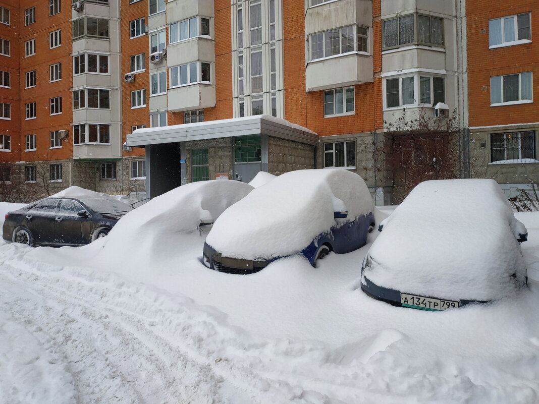 Гляжу — хорошо ли метели машины снежком занесли … - Андрей Лукьянов