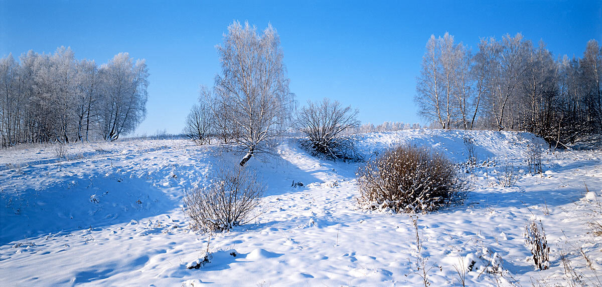 Морозный день в январе - Сергей Курников