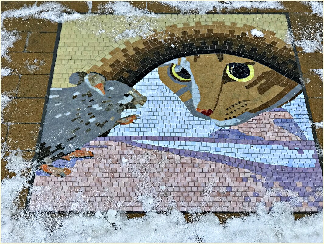 Мозаика на тротуаре, Зеленоградск. - Валерия Комова