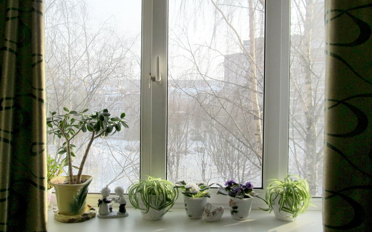 За окном февраль - Ольга Елисеева