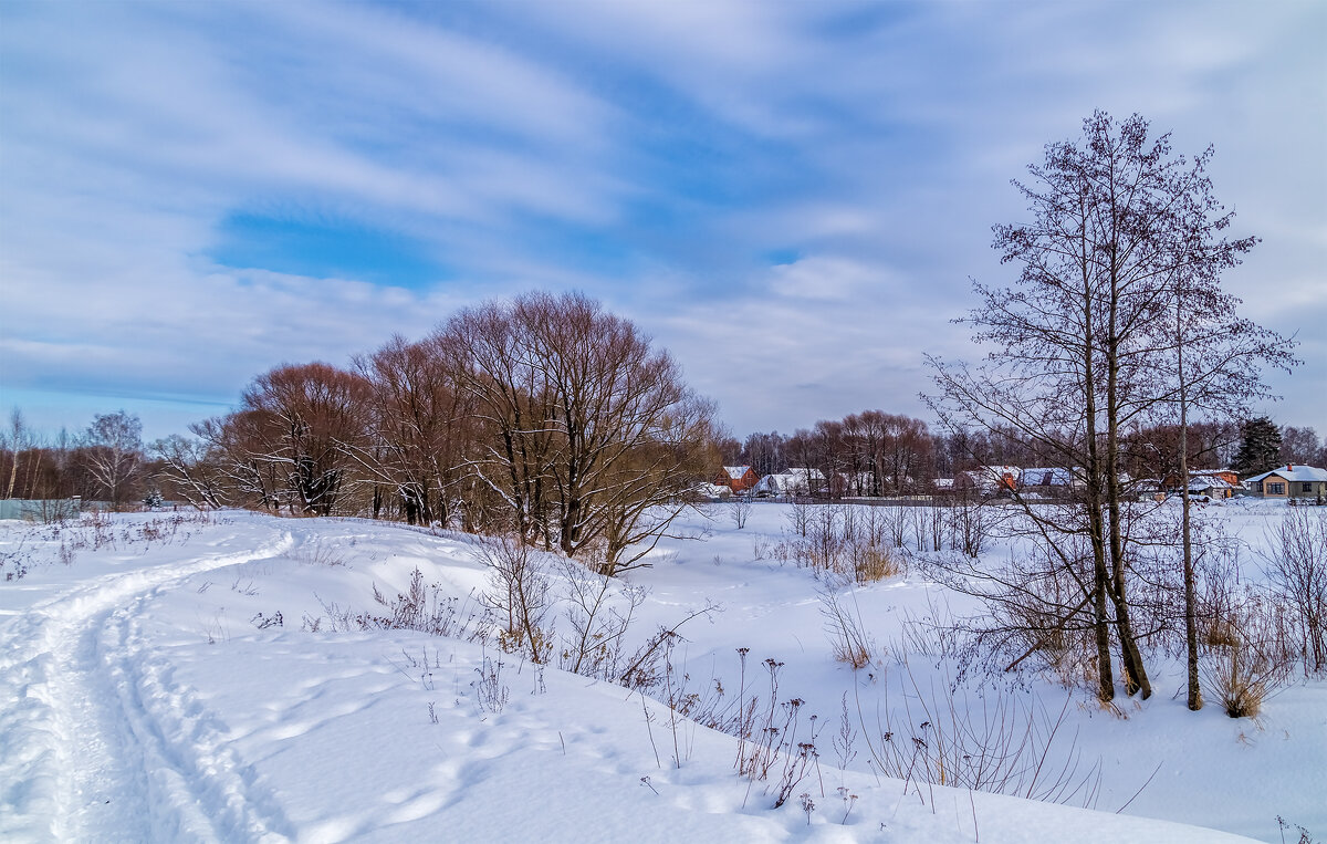 Снежный и морозный февраль # 2 - Андрей Дворников