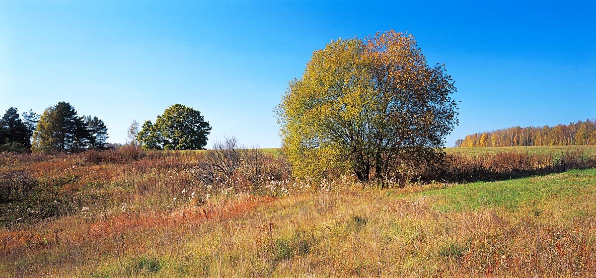 Осень в долине Протвы - Сергей Курников