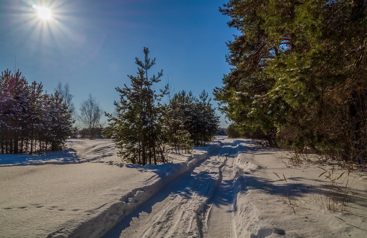 Снежный и морозный февраль # 5 - Андрей Дворников
