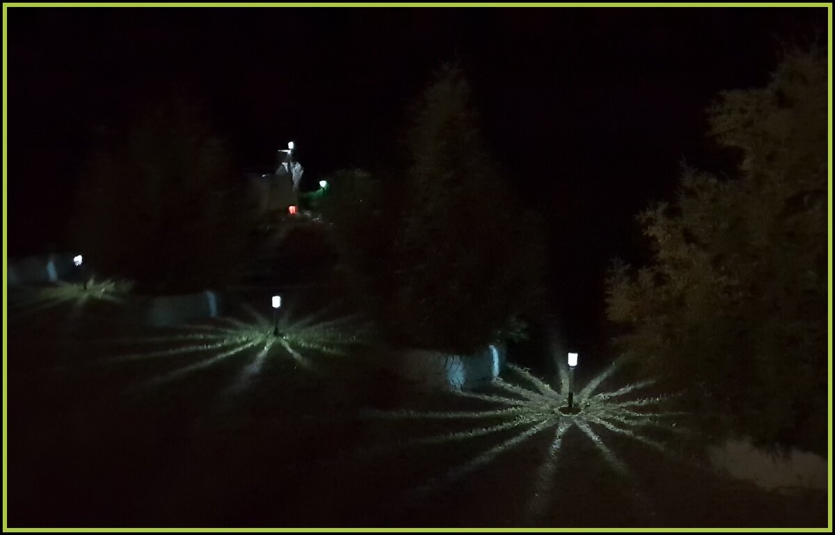 Ночные цветы - фонарики, работающие от солнечных батареек. - Лариса Масалкова