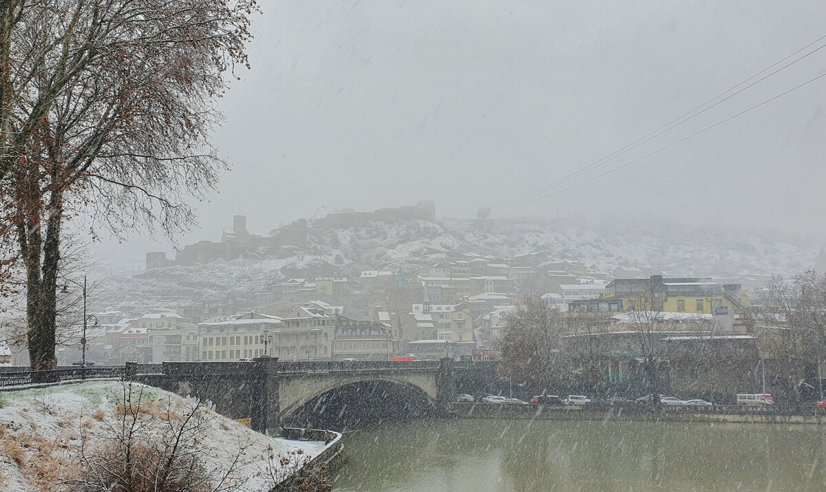 Один день зимы в Тбилиси. - Наталья (D.Nat@lia)