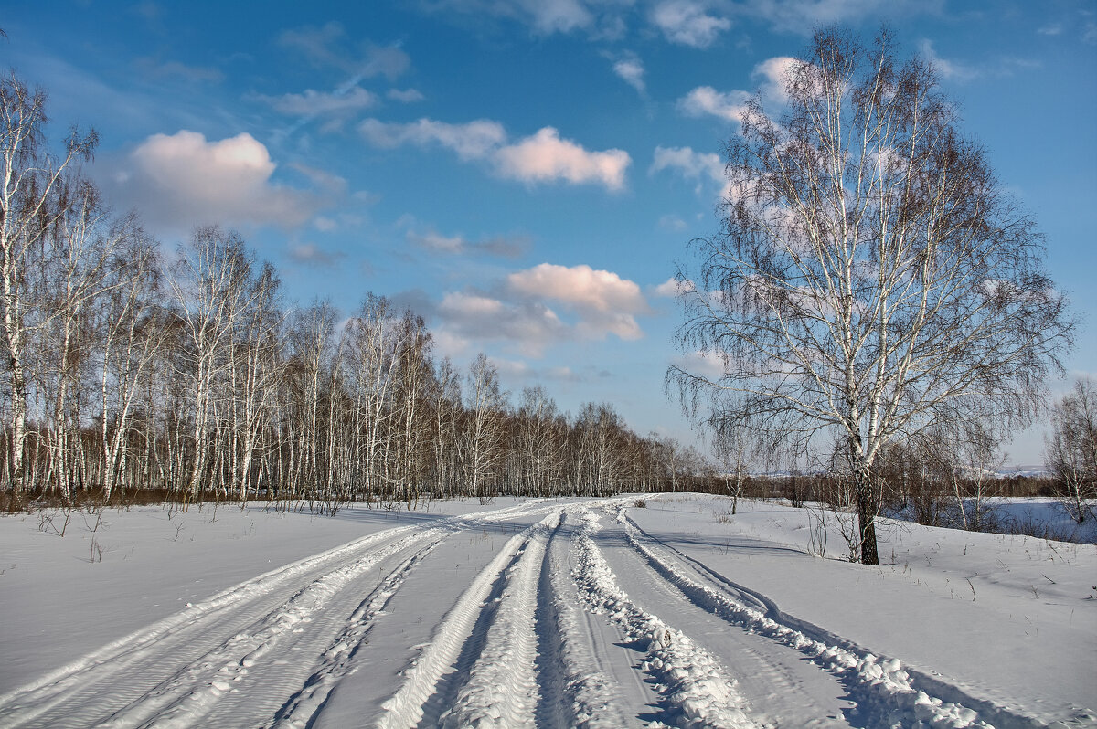 *** - Алексей Мезенцев