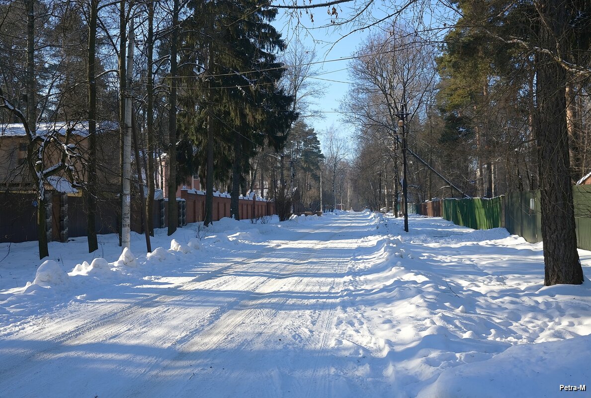 Солнечный зимний день на нашей улице - Маргарита 