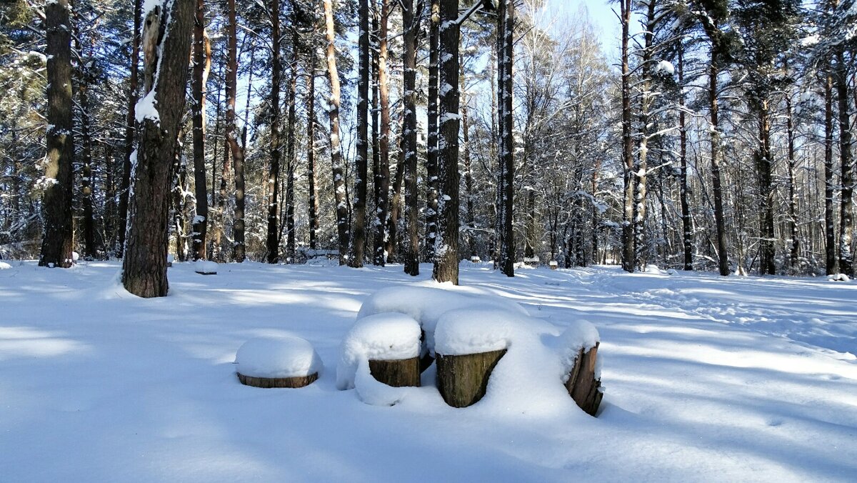 В зимнем лесу под Смоленском (из поездок по области). - Милешкин Владимир Алексеевич 
