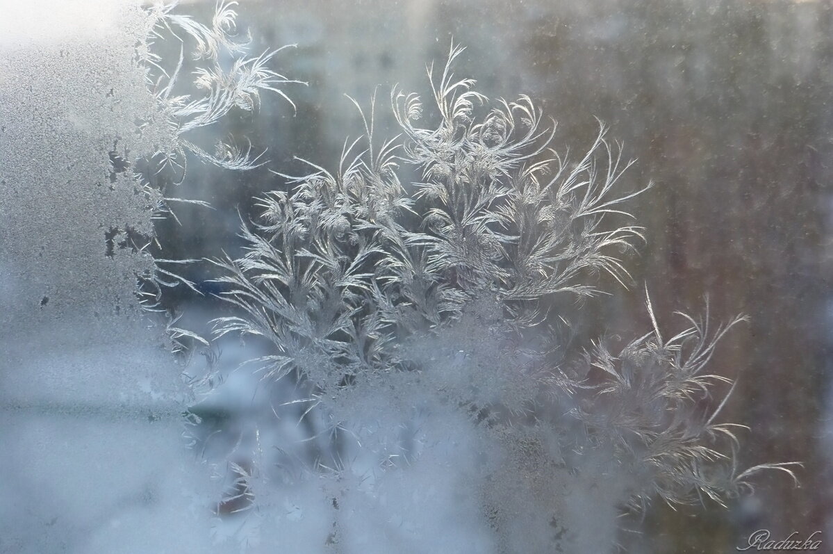 За окном-метель, на окне-мороз - Raduzka (Надежда Веркина)