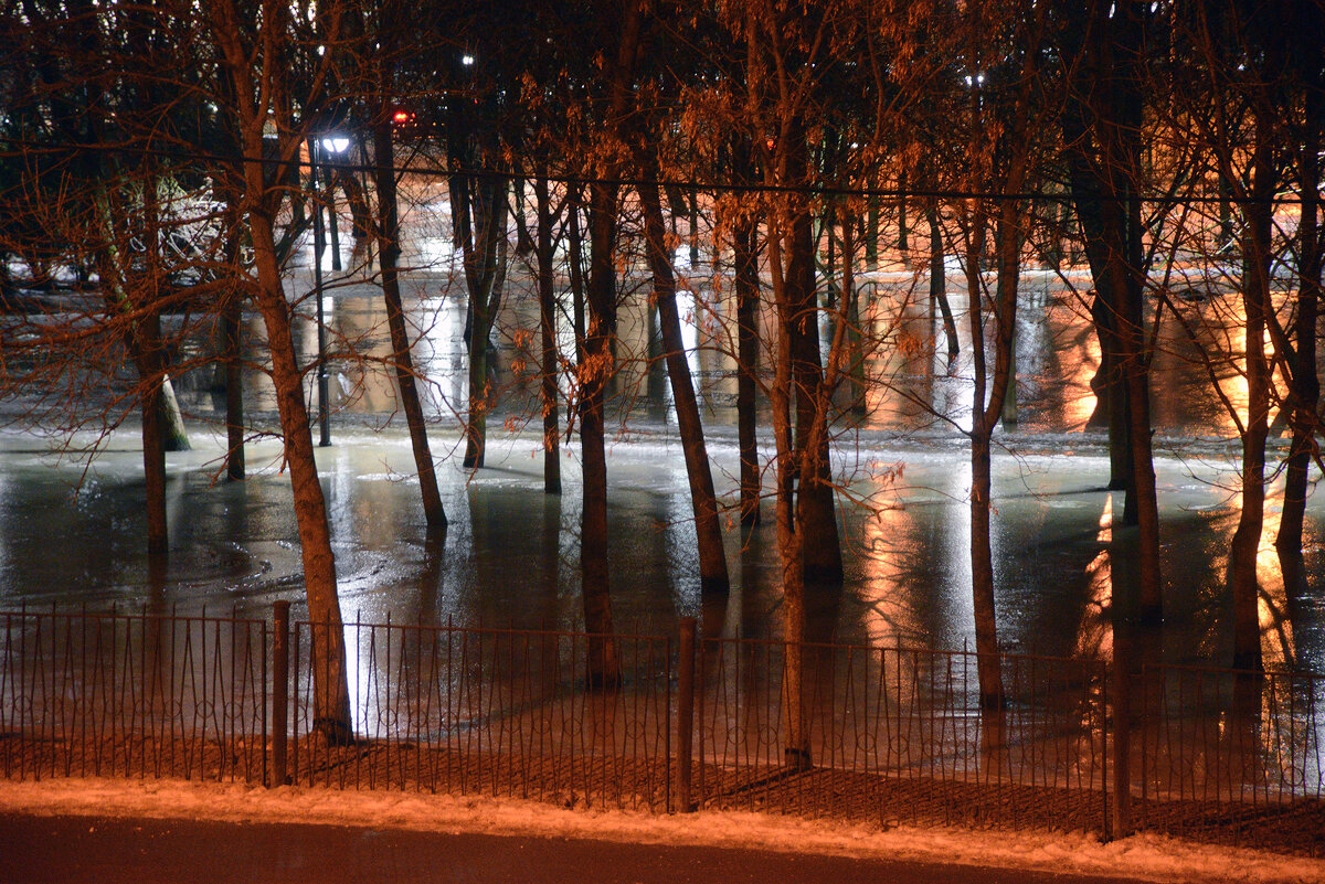 Огни ночного парка *** Night park lights - Aleksandr Borisov