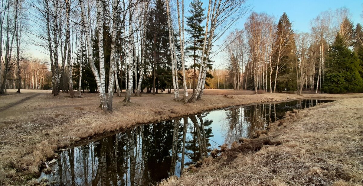 Павловский парк - Наталья Герасимова