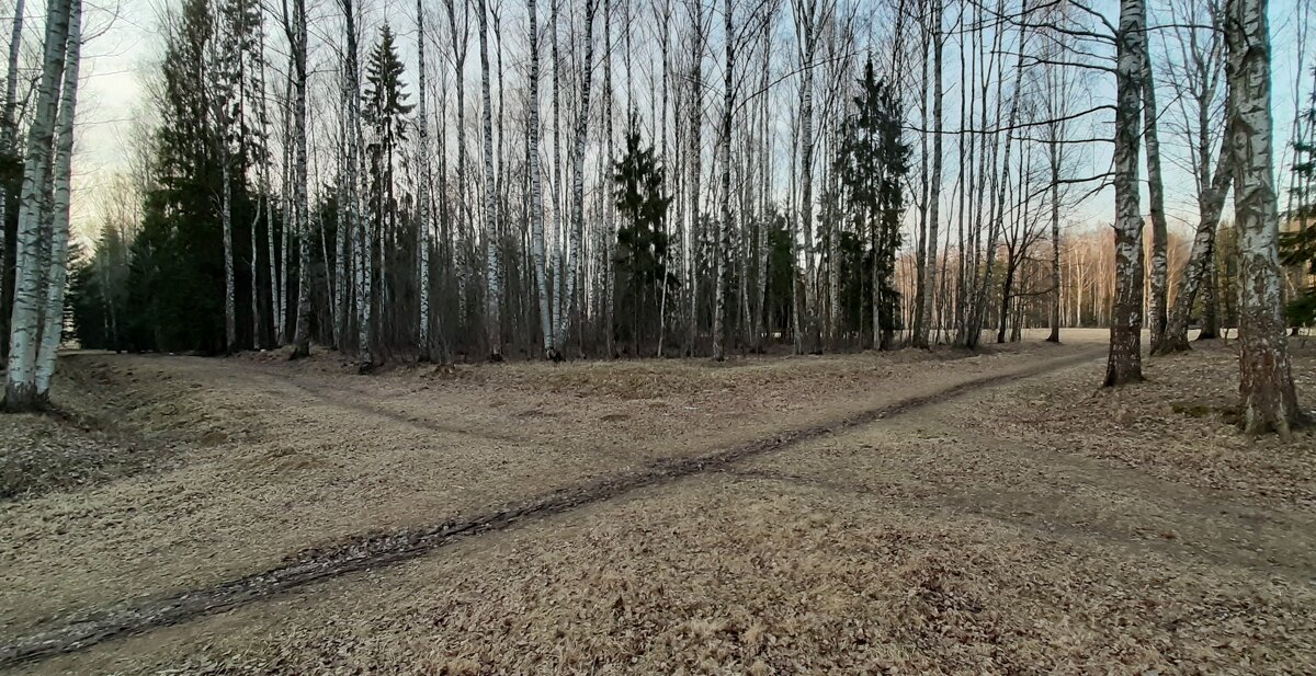 Павловский парк - Наталья Герасимова