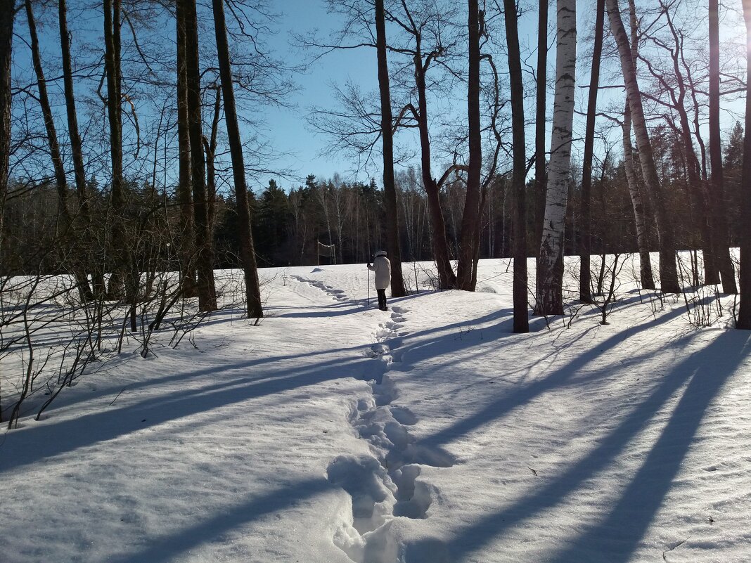 Оставляя следы на снегу - Galina Solovova